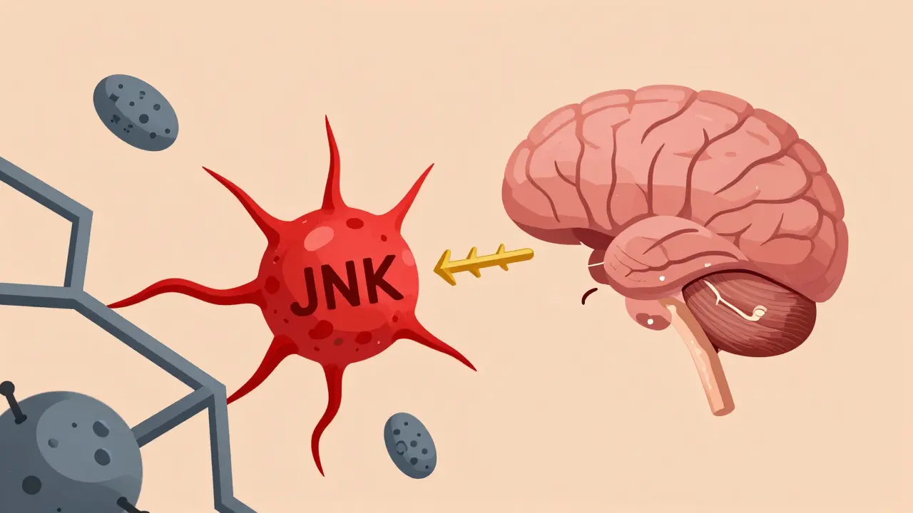 Fat cell emitting inflammatory waves blocking leptin from reaching the brain.