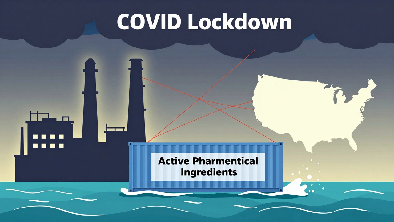 Single shipping container linking drug factories in China and India to collapsing U.S. hospitals, Bauhaus style.