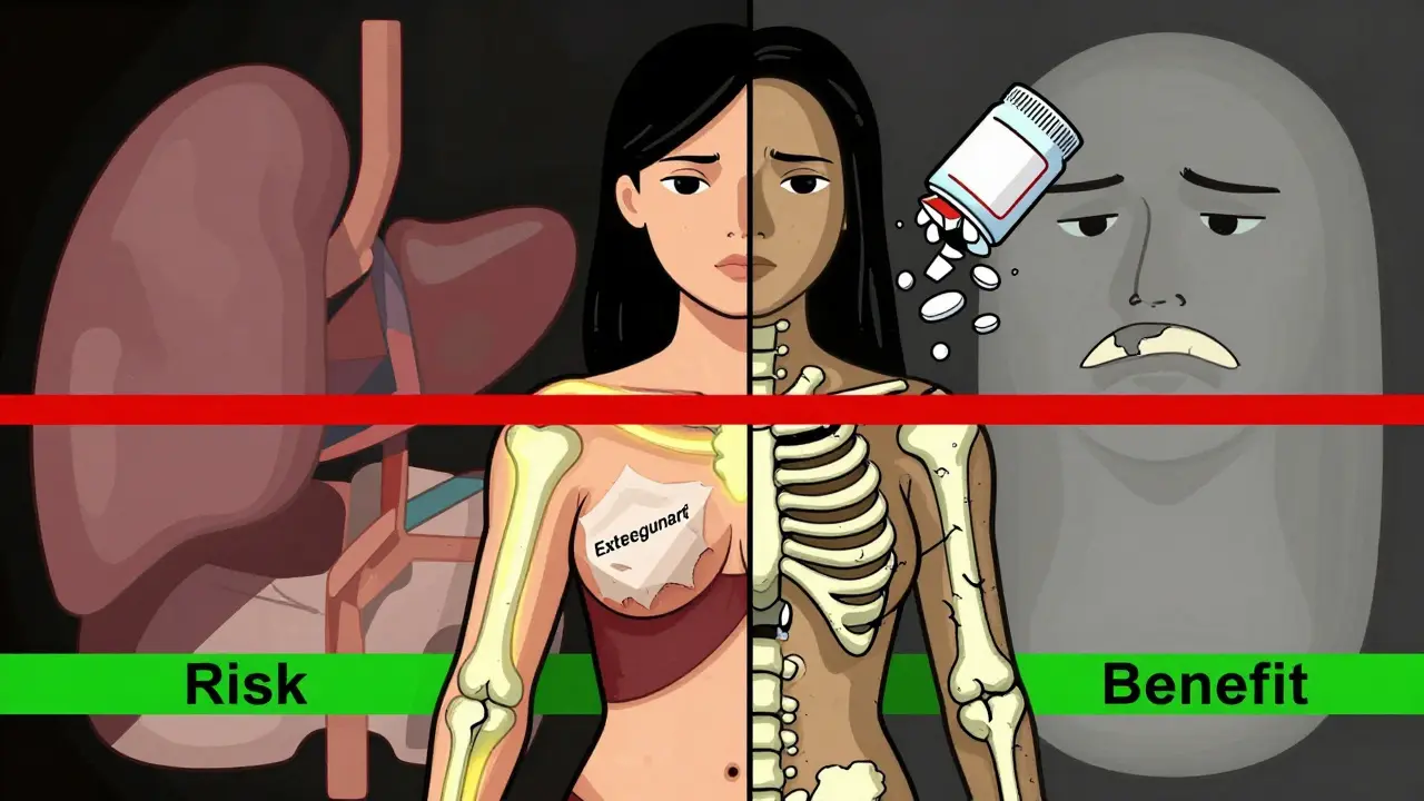 Split-body illustration showing HRT benefits vs risks with abstract shapes